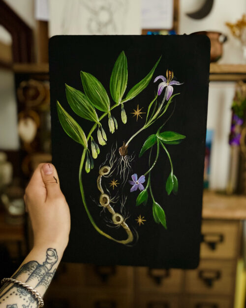 Sorcière des bois • Tirage d’art