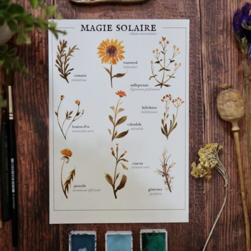 Magie solaire (été)  • Affiche d’art botanique version minimaliste