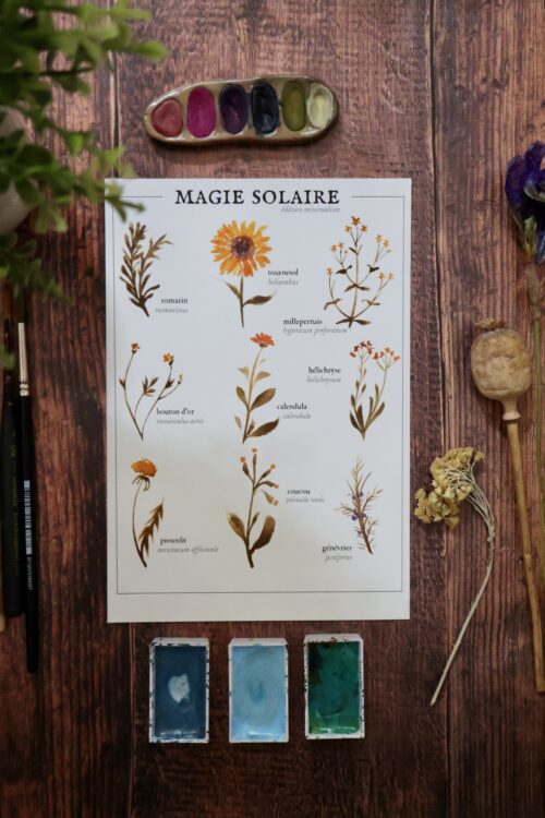Magie solaire (été)  • Affiche d’art botanique version minimaliste