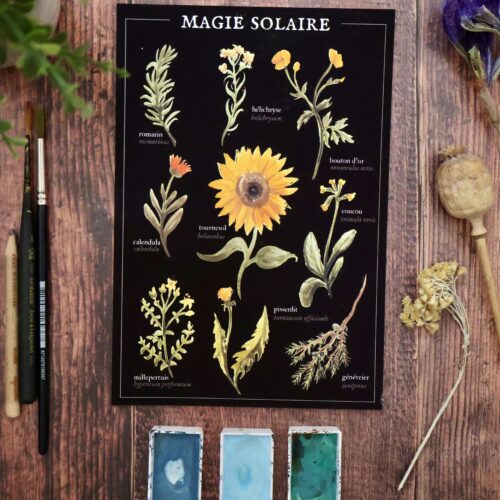 Magie solaire (été)  • Affiche d’art botanique
