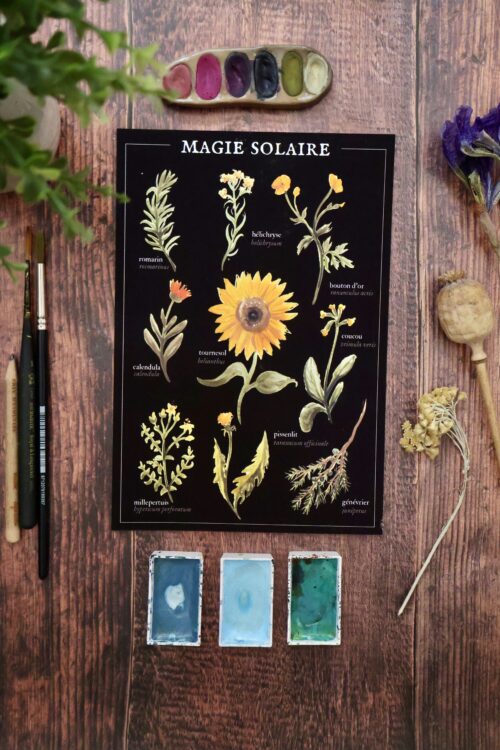 Magie solaire (été)  • Affiche d’art botanique