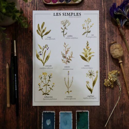 Les simples • Affiche d’art botanique version minimaliste