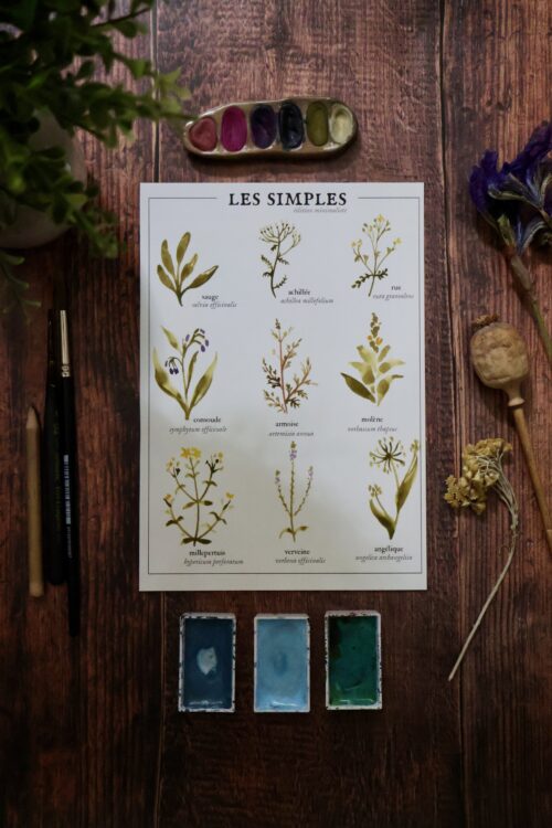 Les simples • Affiche d’art botanique version minimaliste