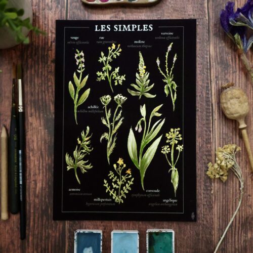 Les simples • Affiche d’art botanique