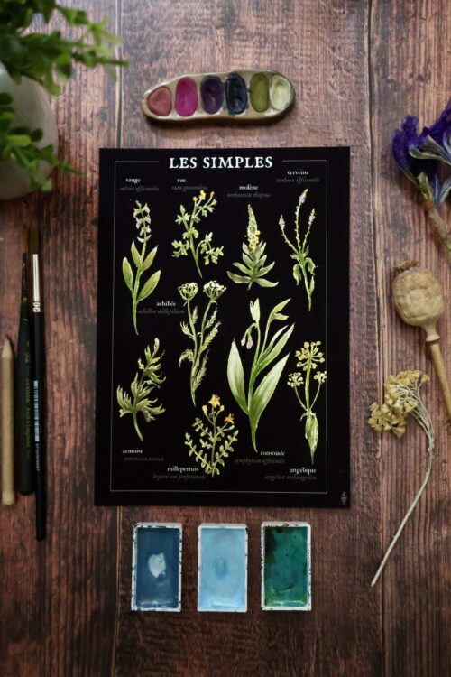 Les simples • Affiche d’art botanique