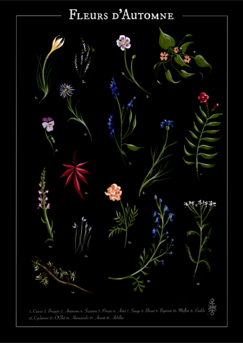 Affiche • Fleurs d’automne