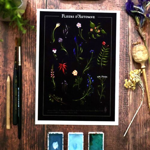 Affiche Fleurs d'Automne • Tirage d'art