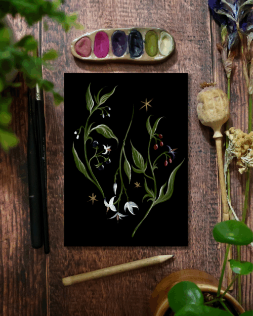 Trio de morelles • Tirage d’art