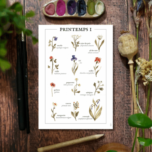 Printemps I • Affiche d’art botanique
