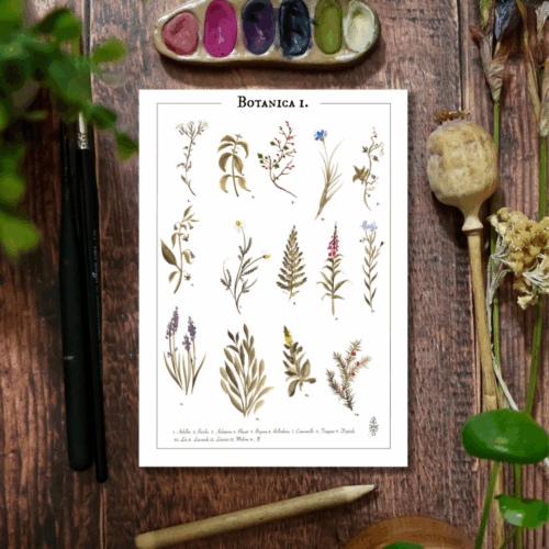 Affiche • Botanica I