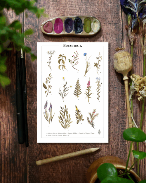 Affiche • Botanica I