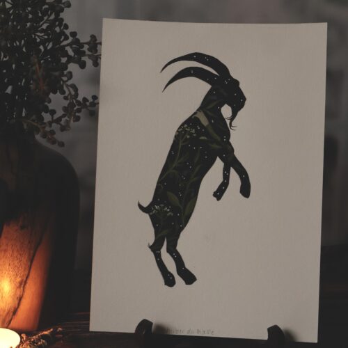 Herbier du diable • Tirage d’art