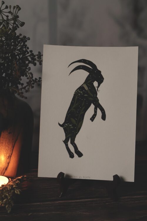 Herbier du diable • Tirage d’art