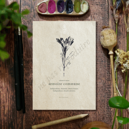 Artemisia • Tirage d’art botanique