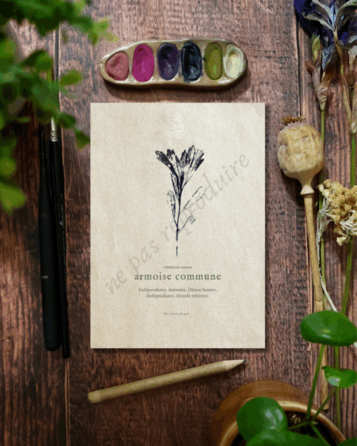 Artemisia • Tirage d’art botanique
