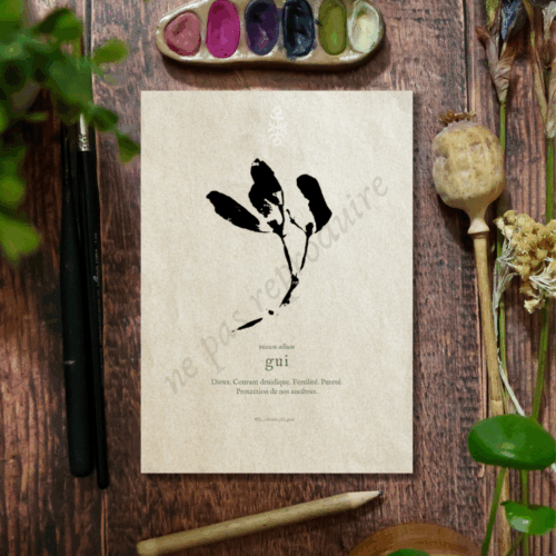 Viscum • Tirage d’art botanique
