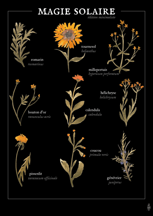 Magie solaire (été)  • Affiche d’art botanique version minimaliste – Image 2