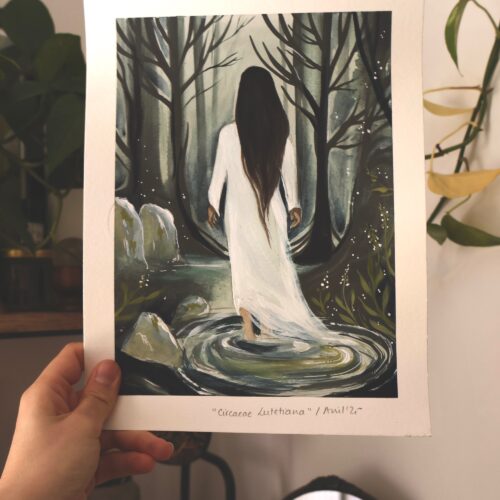 Circaea Lutetiana • Tirage d’art