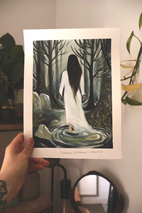 Circaea Lutetiana • Tirage d’art
