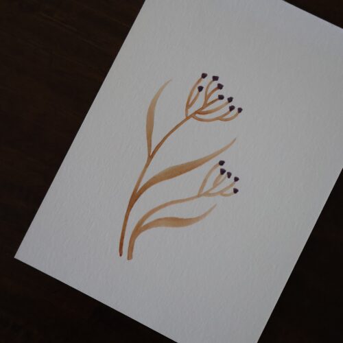 Sambucus - Original sur papier