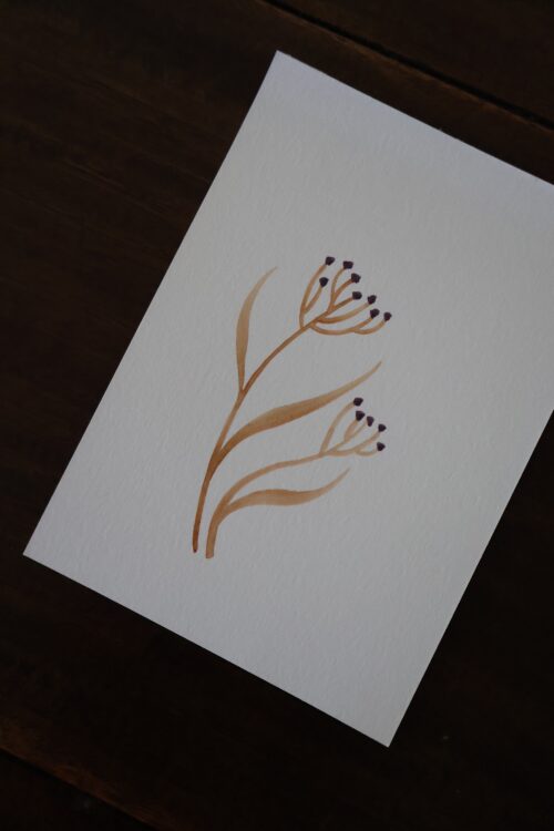 Sambucus - Original sur papier