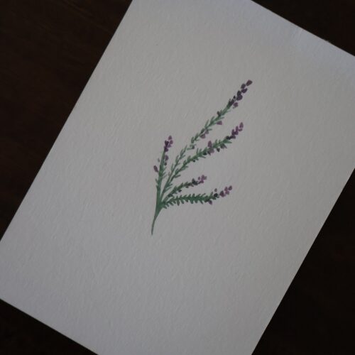 Bruyère - Original sur papier