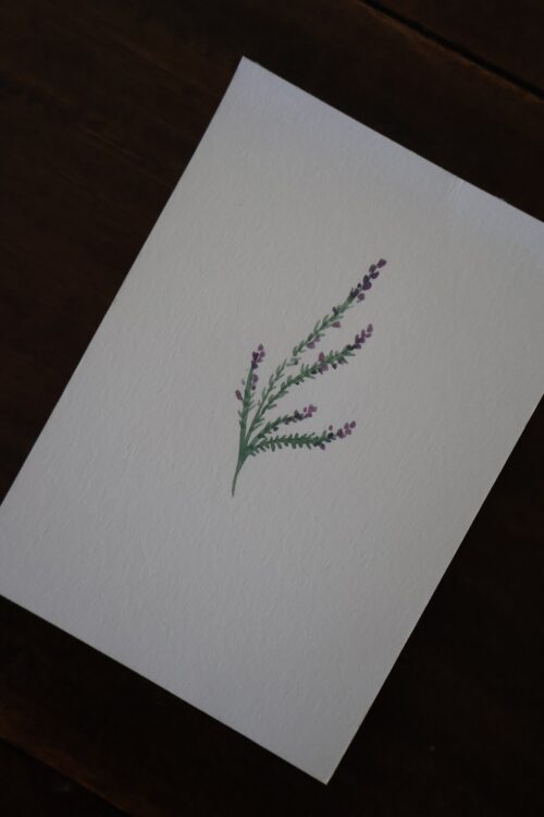 Bruyère - Original sur papier