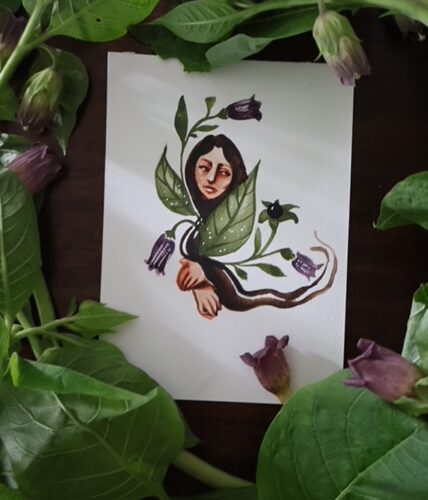 Atropa • Tirage d’art