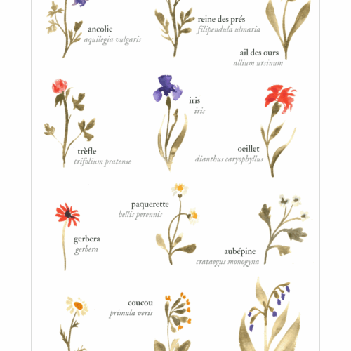 Printemps I • Affiche d’art botanique