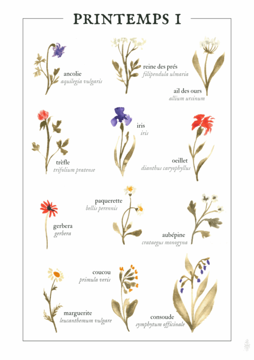 Printemps I • Affiche d’art botanique