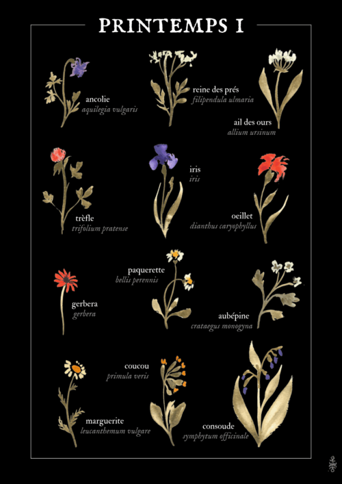 Printemps I • Affiche d’art botanique – Image 2
