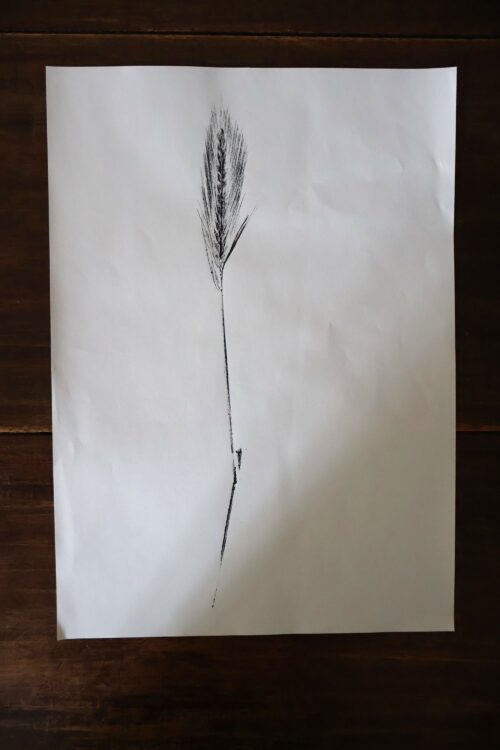 Empreinte de blé- Original sur papier