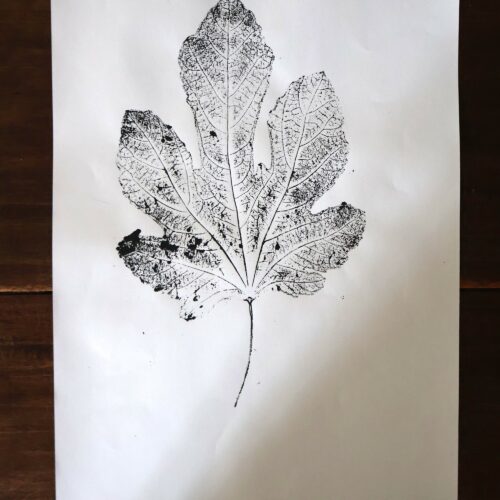 Empreinte de figuier - Original sur papier