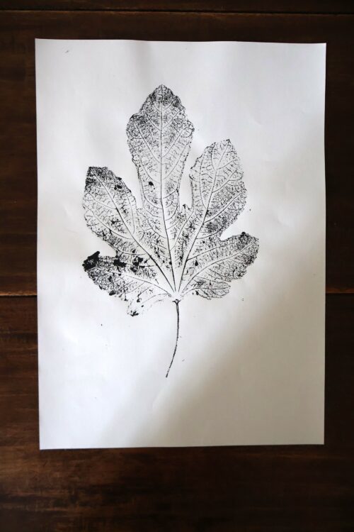 Empreinte de figuier - Original sur papier