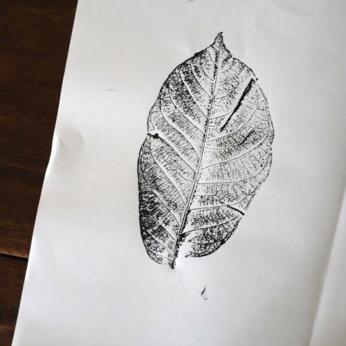Empreinte de noyer - Original sur papier
