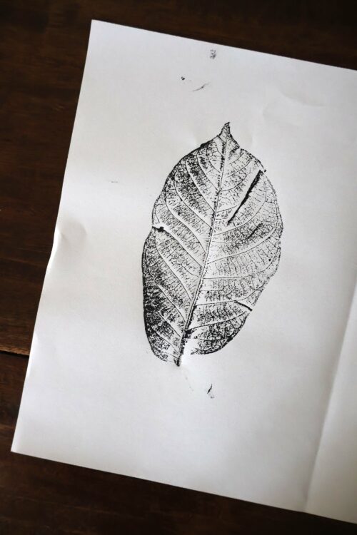 Empreinte de noyer - Original sur papier