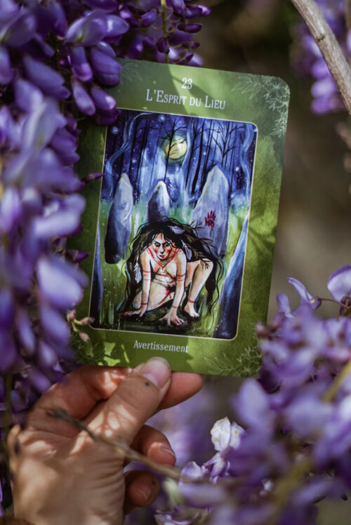 Coffret dédicacé "Le Sentier des sorcières" – Image 3