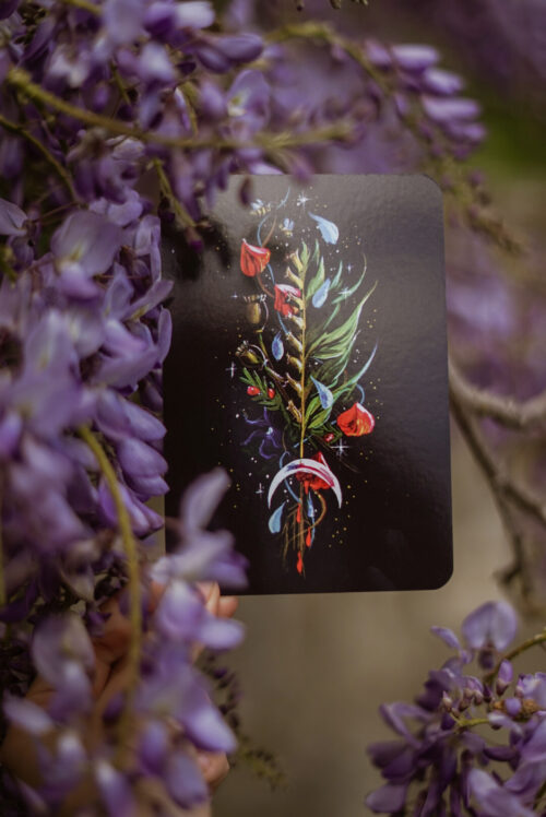 Coffret dédicacé "Le Sentier des sorcières" – Image 7