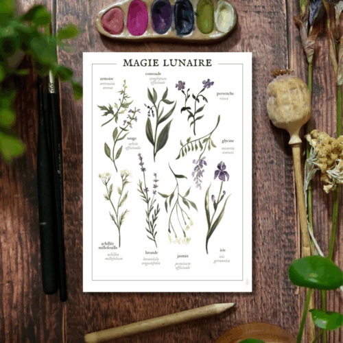Affiche Magie Lunaire • Tirage d’art