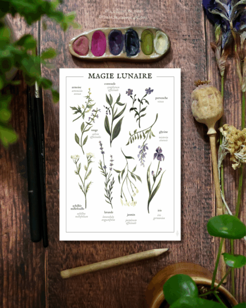 Affiche Magie Lunaire • Tirage d’art