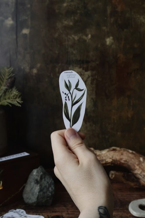 Stickers botaniques – Image 4