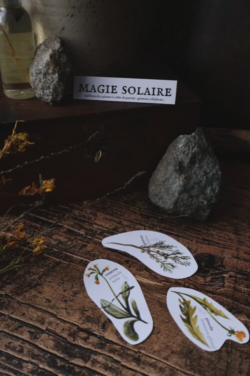 Stickers botaniques – Image 5