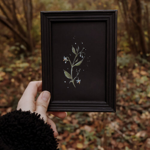 Cadre botanique - Oeuvres originales papier & encadrées