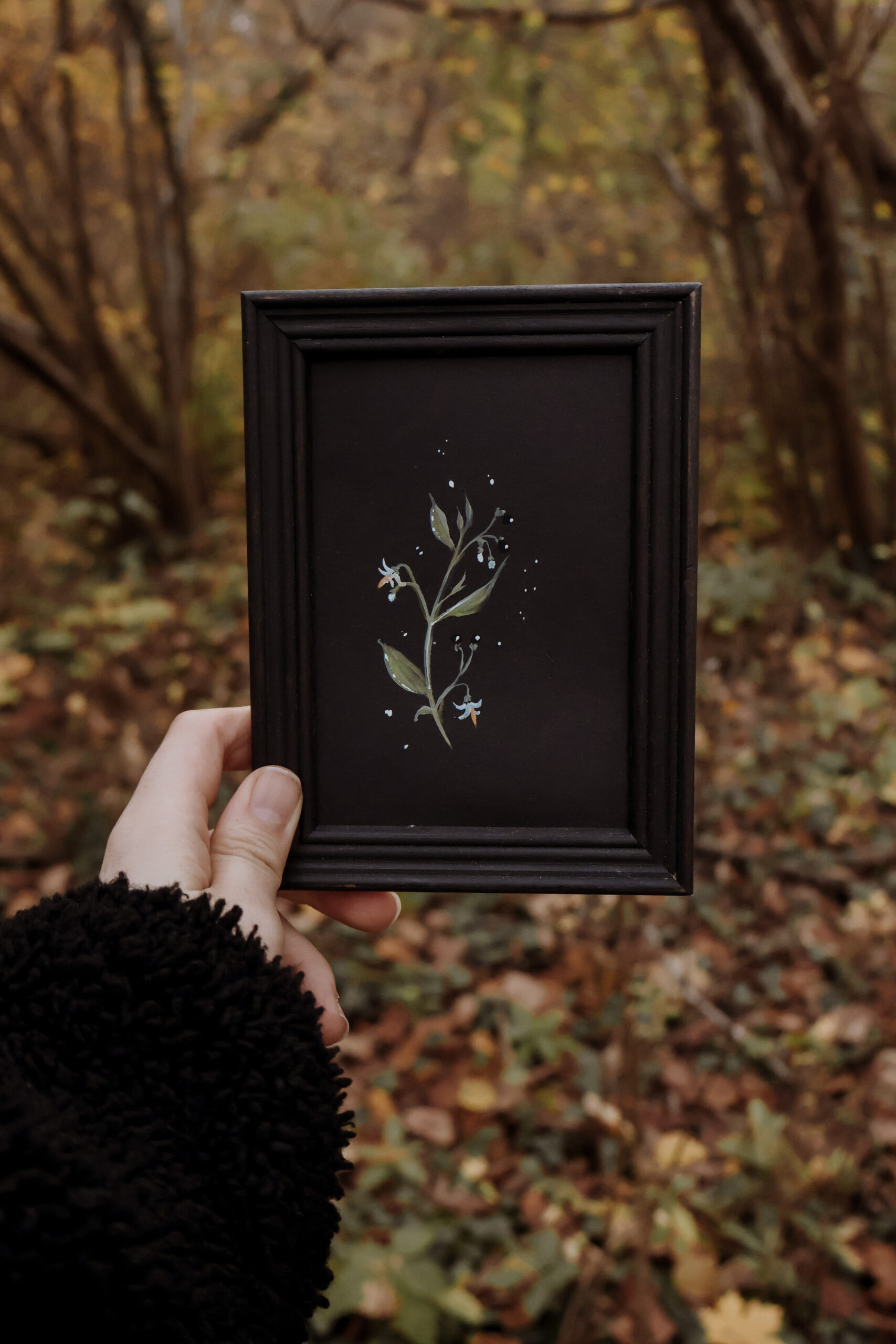 Cadre botanique - Oeuvres originales papier & encadrées