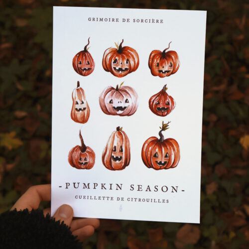 Pumpkin season • Tirage d’art (Affiche)