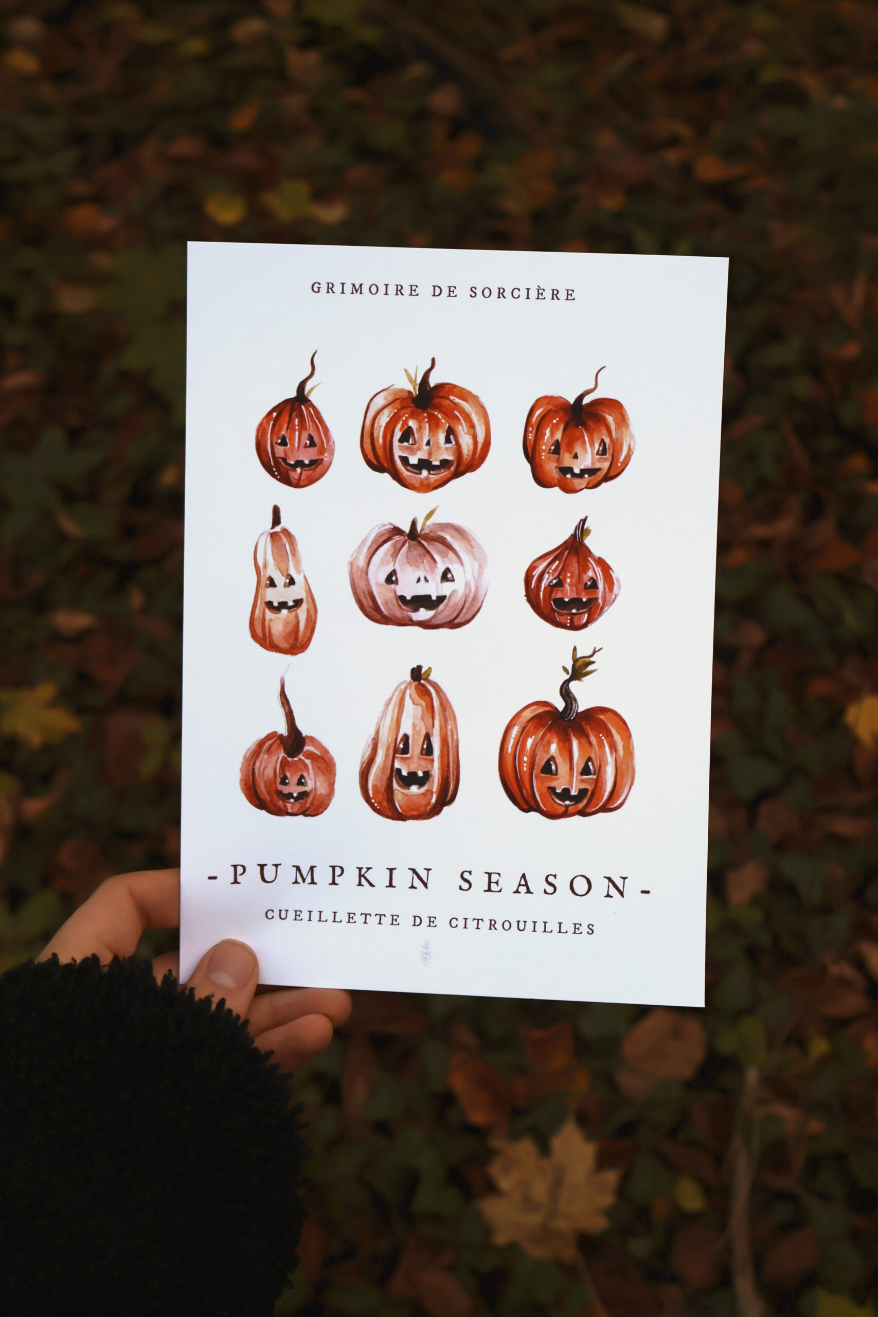 Pumpkin season • Tirage d’art (Affiche)