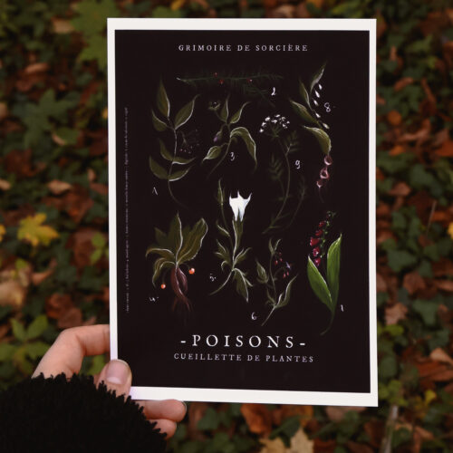 Poisons • Tirage d’art (Affiche)