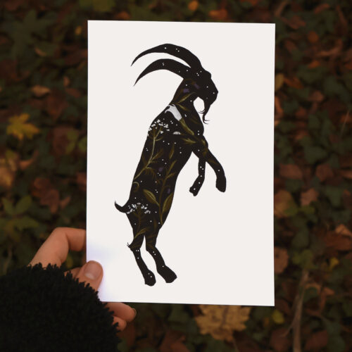 Herbier du diable • Tirage d’art