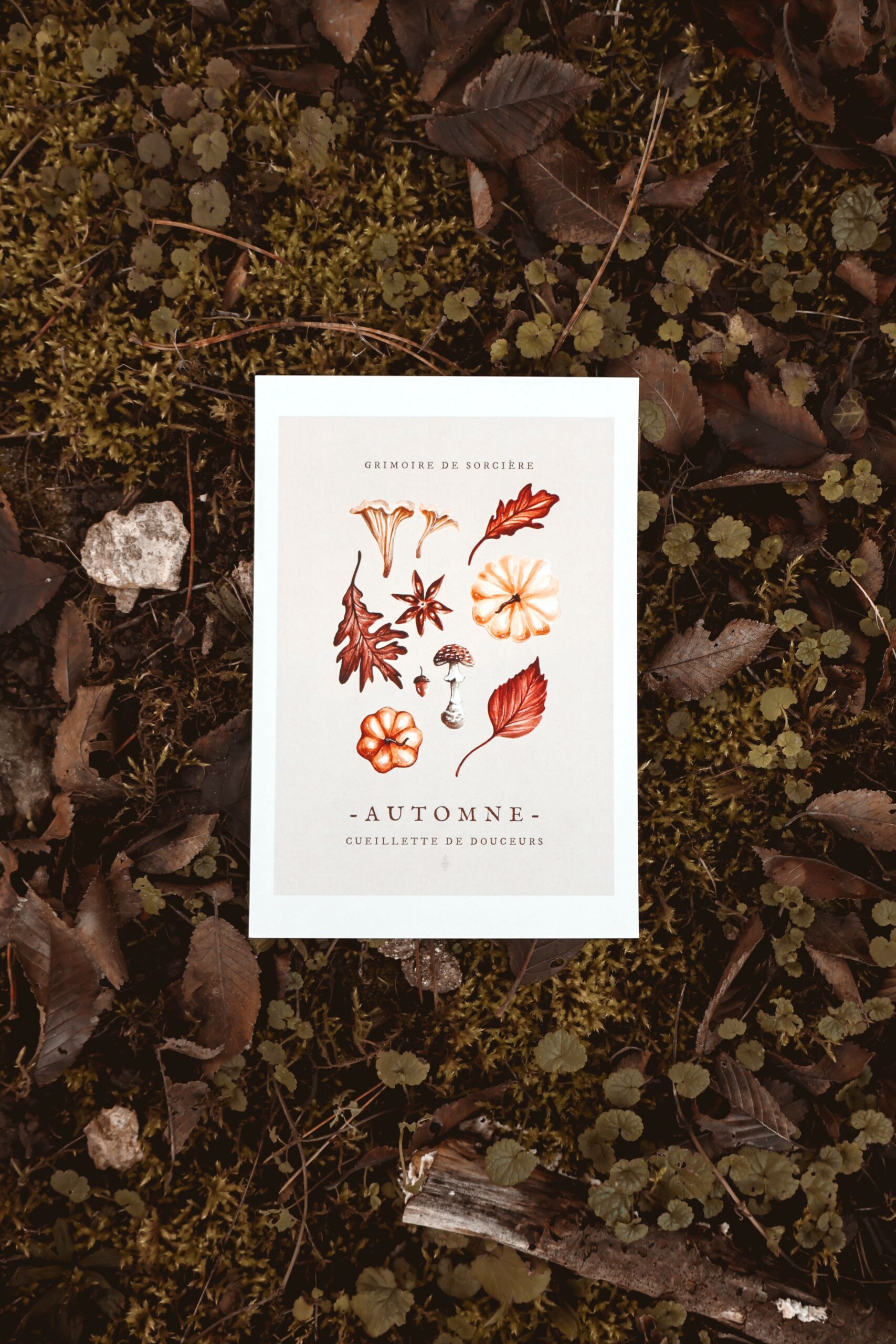 Récolte d'automne • Tirage d’art (affiche) – Image 2