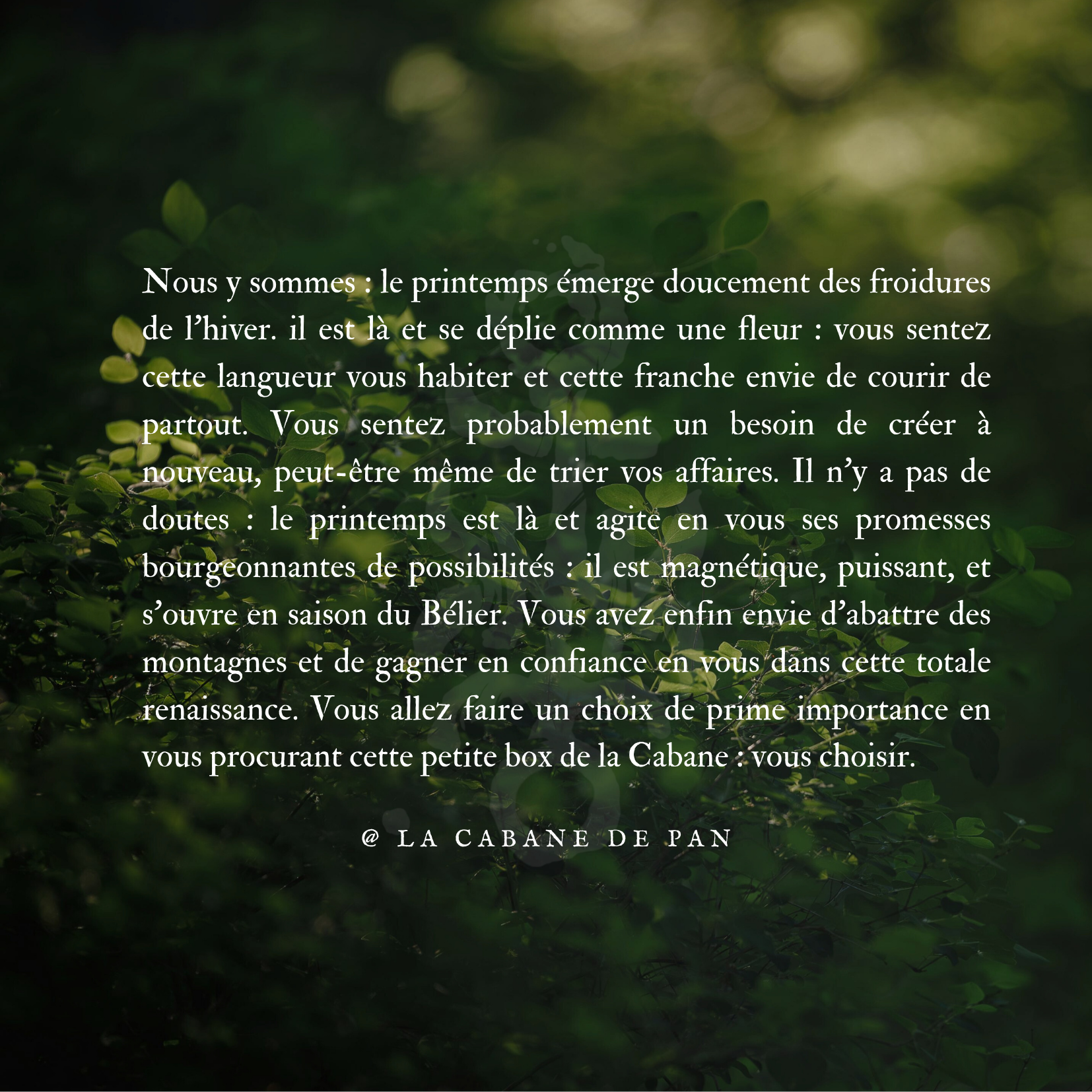 Coffret printanier - printemps 2026 – Image 2
